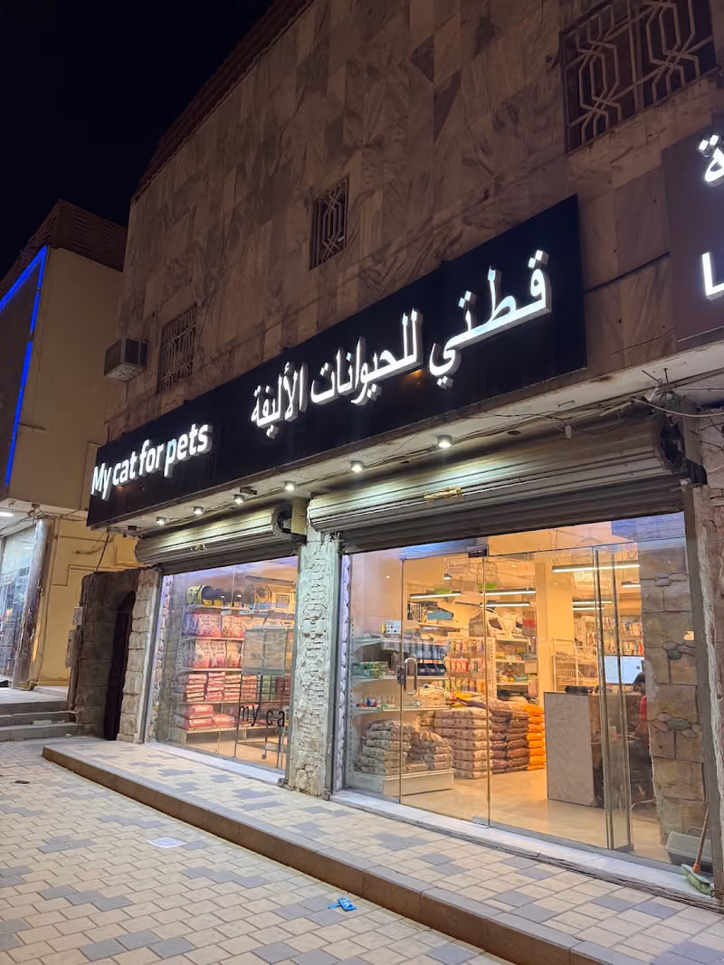 قطتي للحيوانات الأليفة