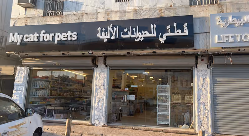 قطتي للحيوانات الأليفة