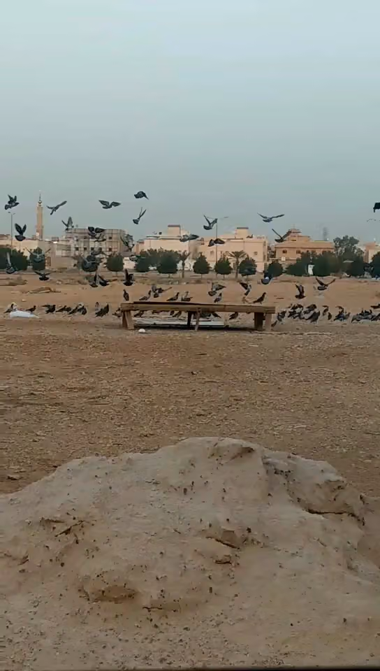 لتر