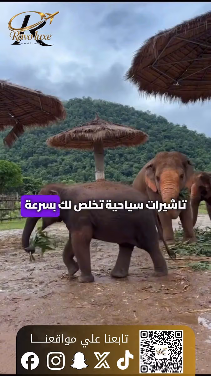 رافو لوكس للسفر والسياحه