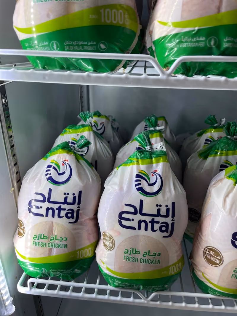 راجن للدواجن