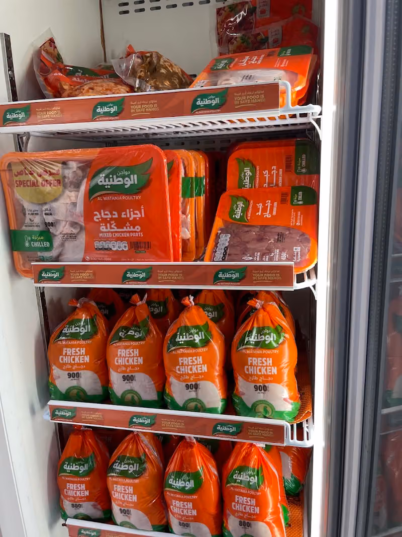 راجن للدواجن