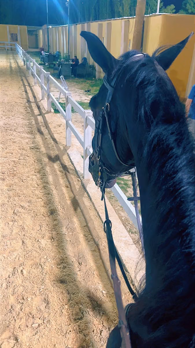 RED LINE HORSE CENTER