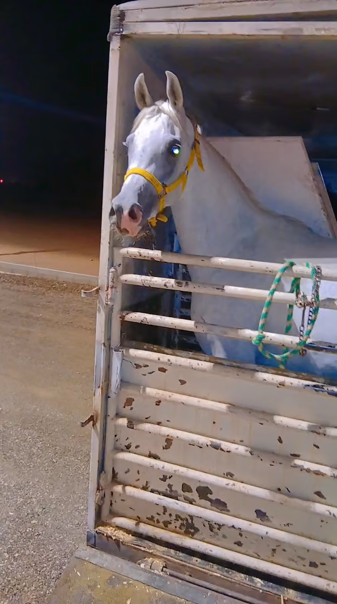 RED LINE HORSE CENTER
