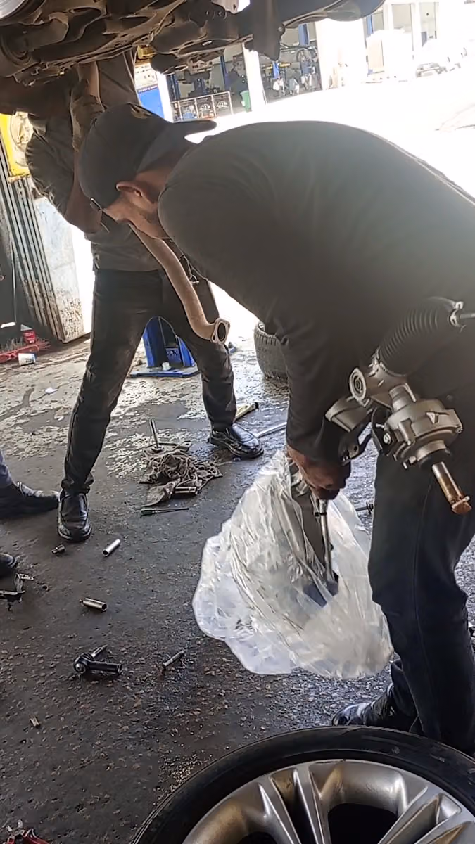 رفقاء الحيوان
