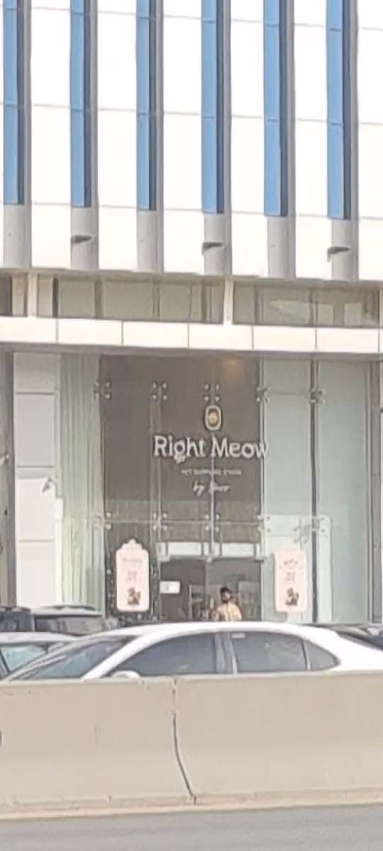 Right Meow