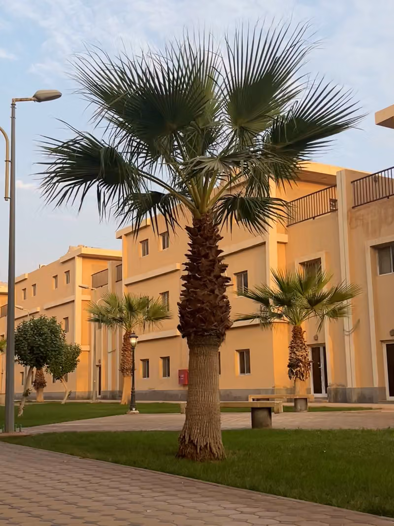Riviera Compound