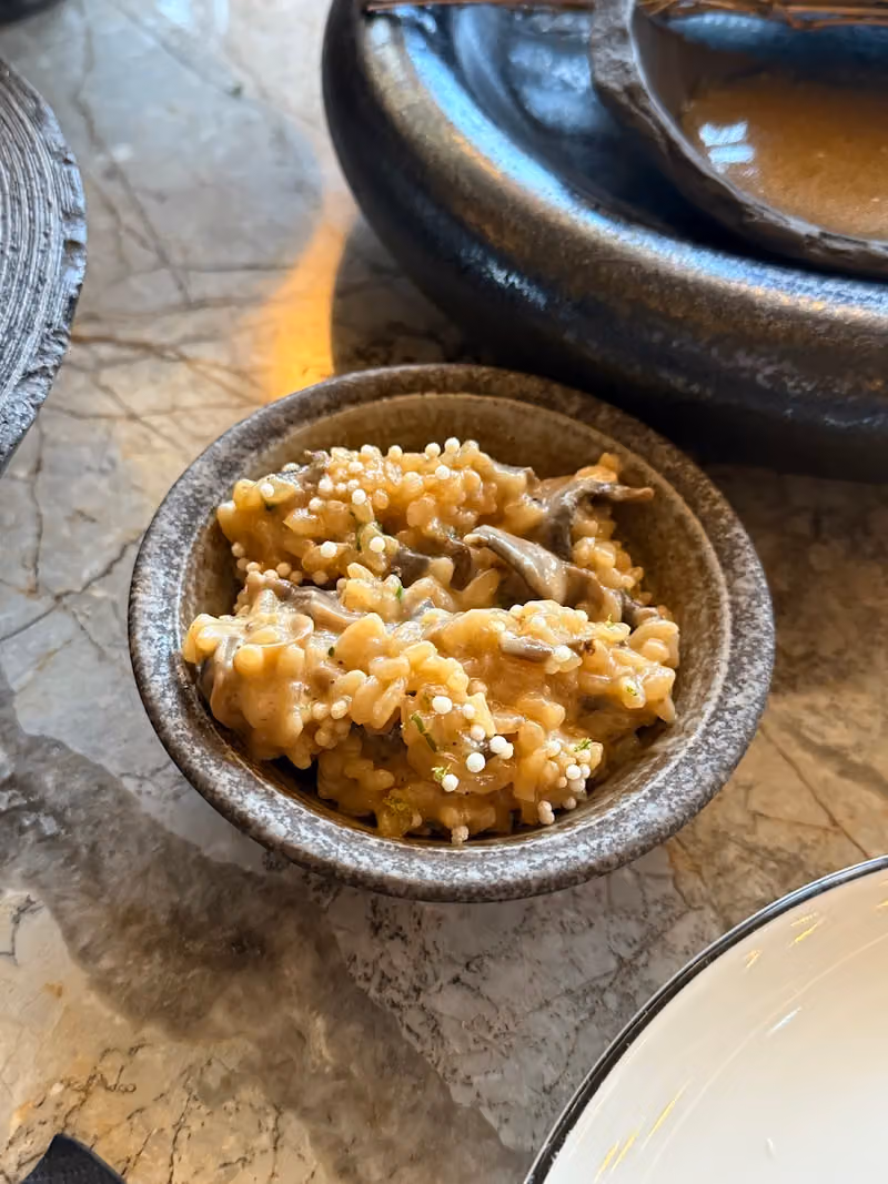 روباتا