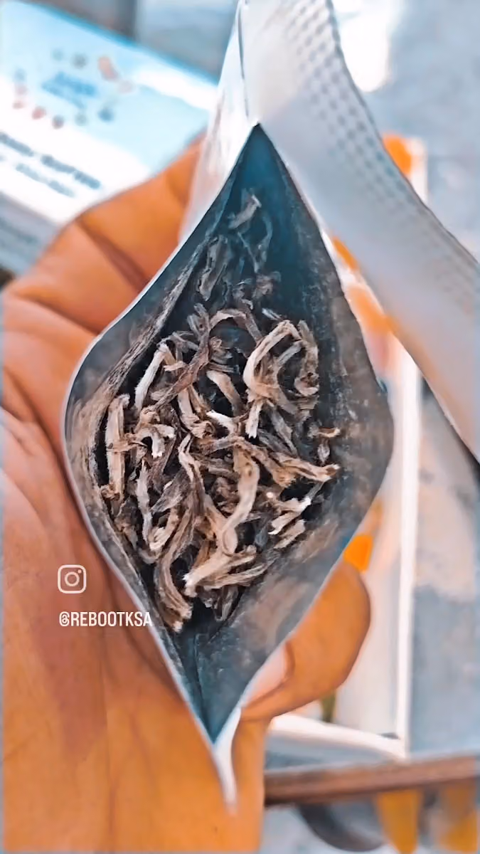 ريبوت كافيه