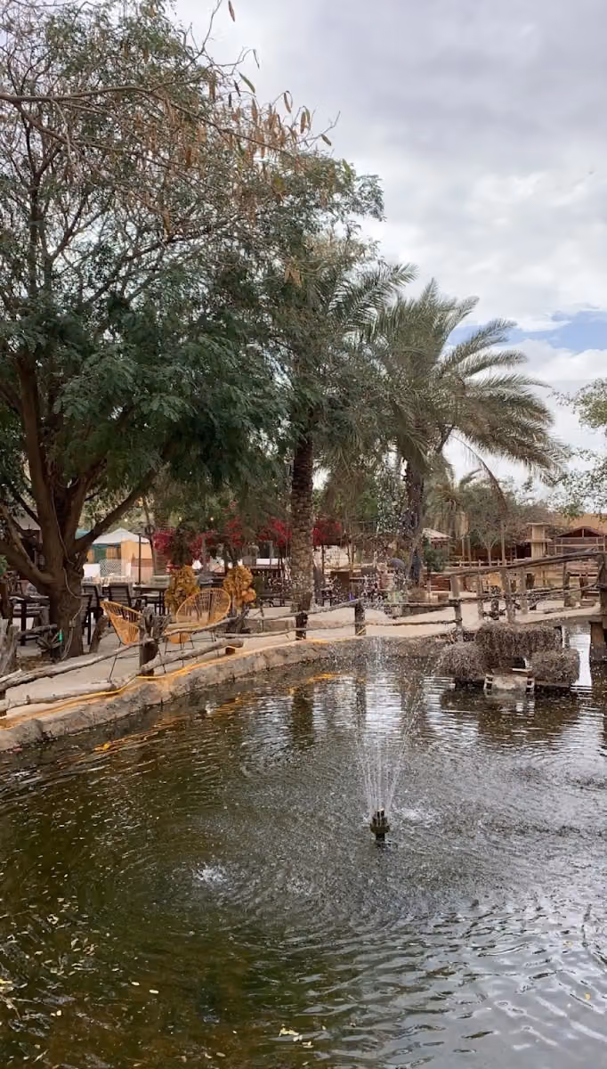 ريف