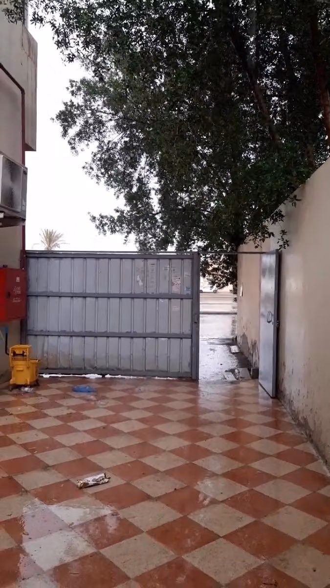 ريجس