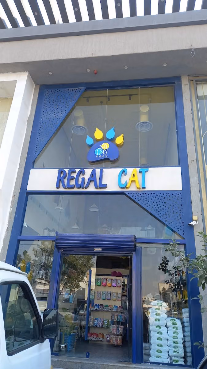 ريقل كات