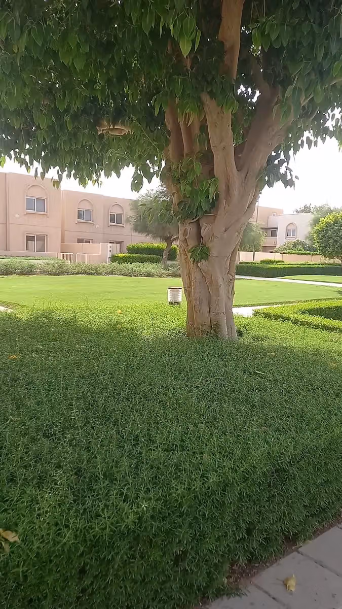 Salwa Garden Village