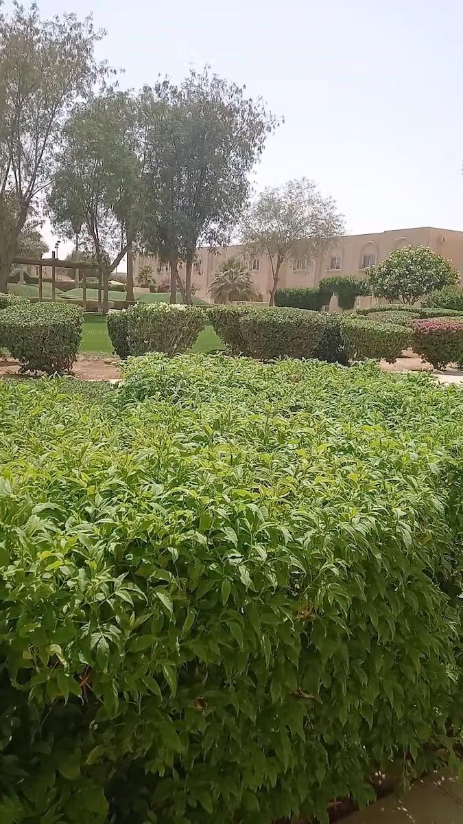 Salwa Garden Village