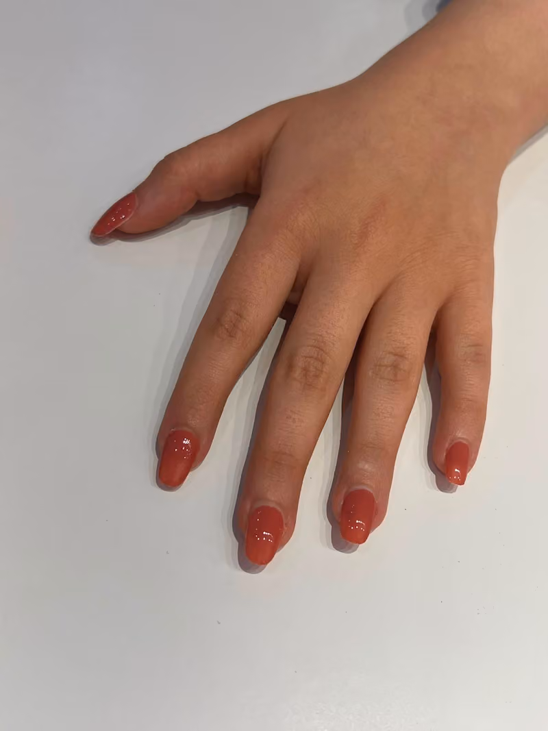 صالون ايلان بيوتي | Elan Beauty Salon