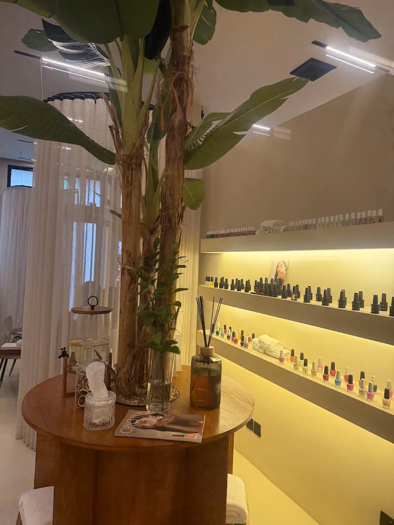 صالون بلوسوم ايريا Blossom Area