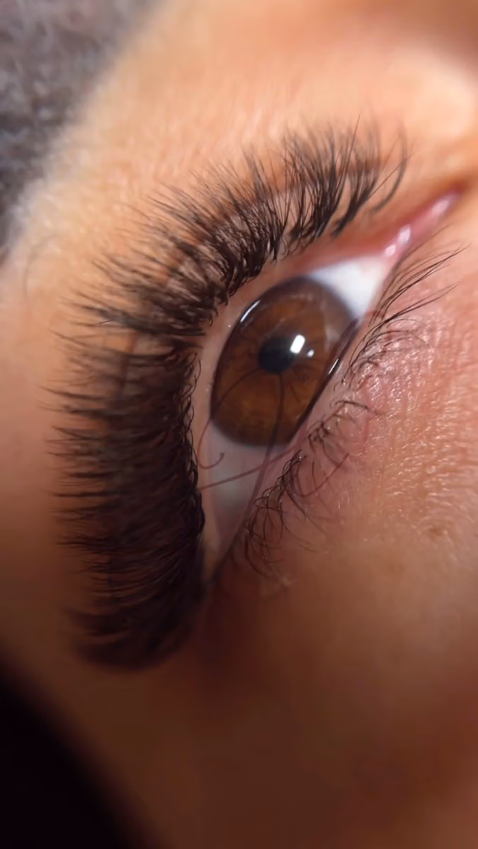 Jolys lashes