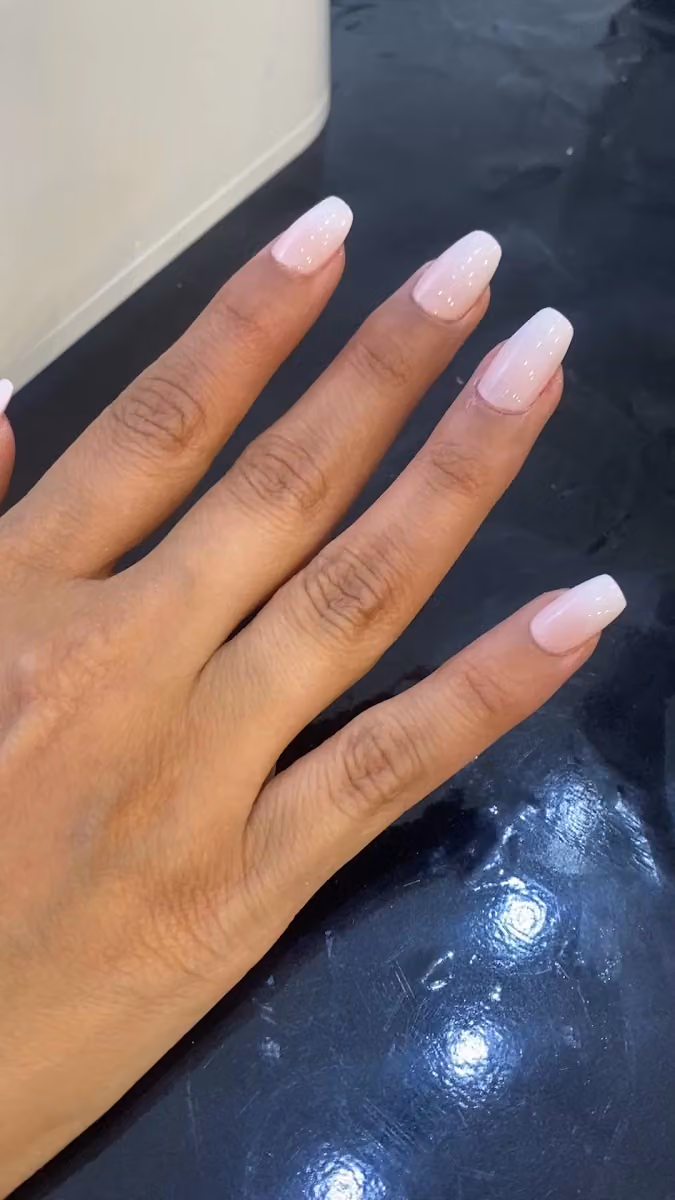 صالون صوفيا salon sofia
