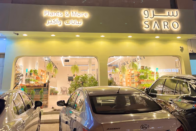 SARO | سرو