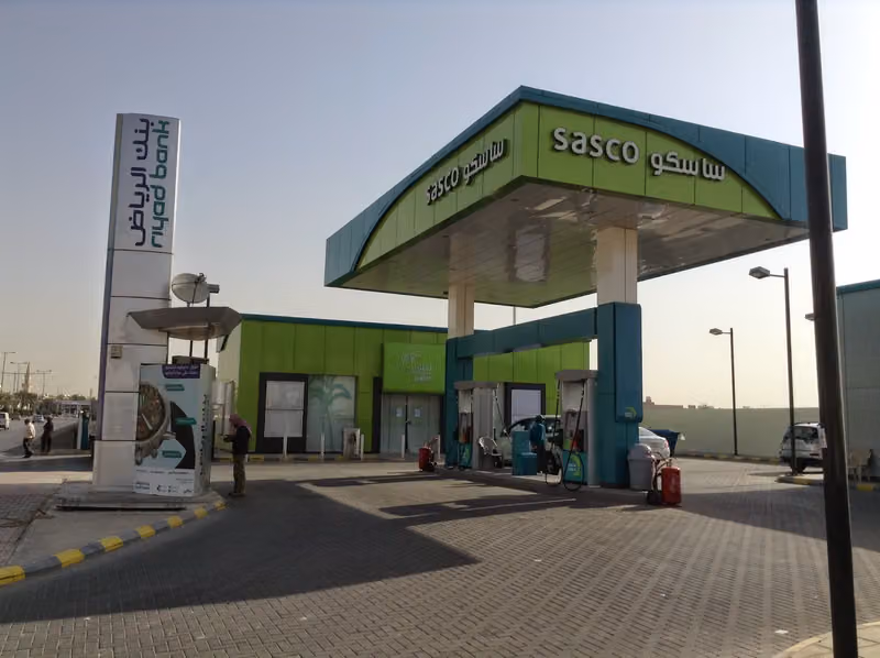 SASCO PALM - نخلة ساسكو‎