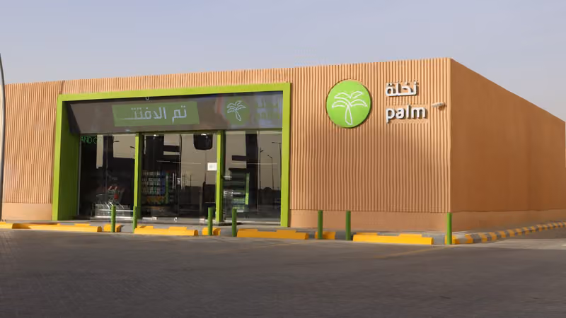SASCO PALM - نخلة ساسكو‎