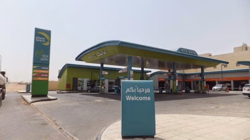 نخلة ساسكو‎