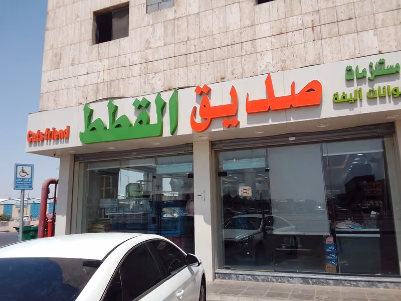 صديق القطط
