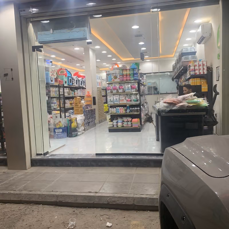 صديق القطط