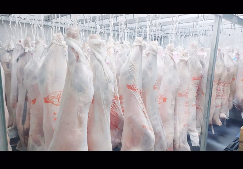Shaan meats 2