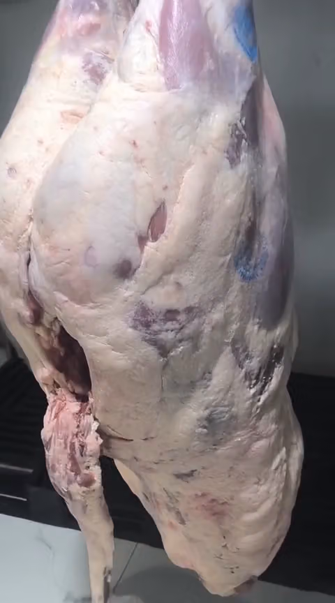 Shaan meats 2