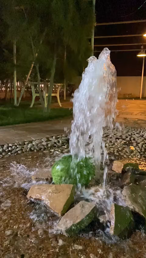 شاليه النارنج