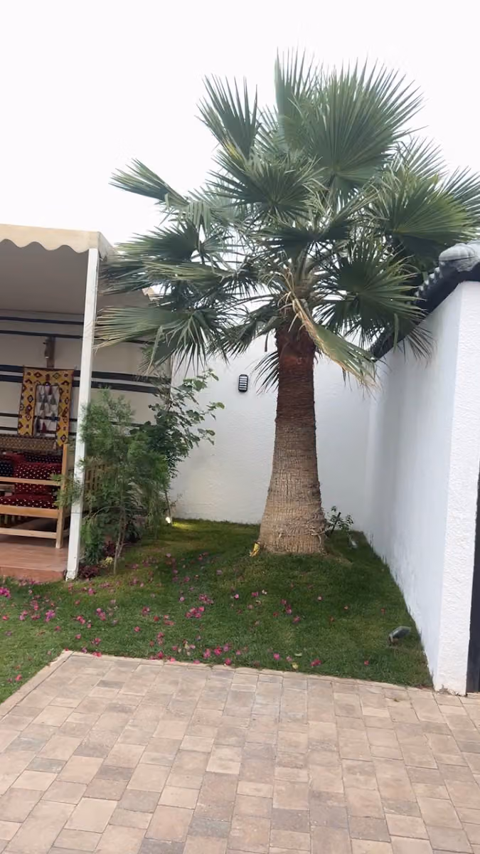 شاليه امار AMAR chalet