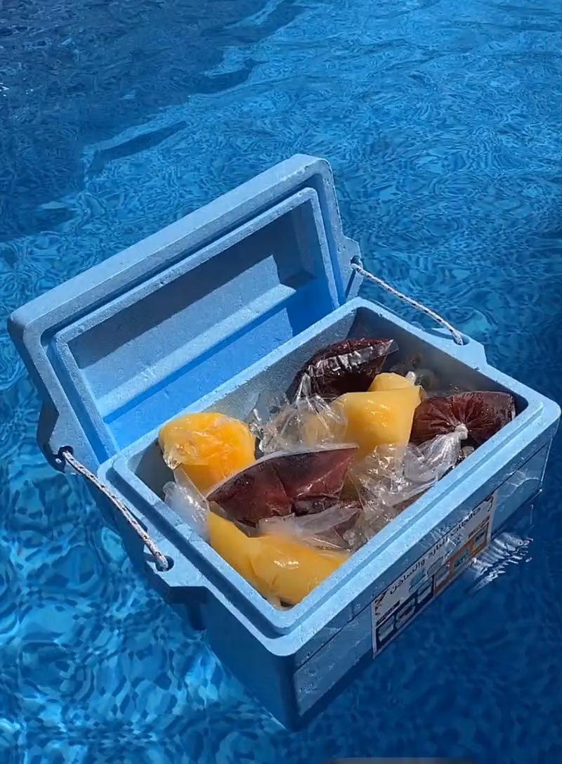 شاليه لوسين 3 و4