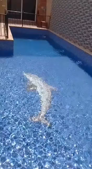 شاليه سباركل داي