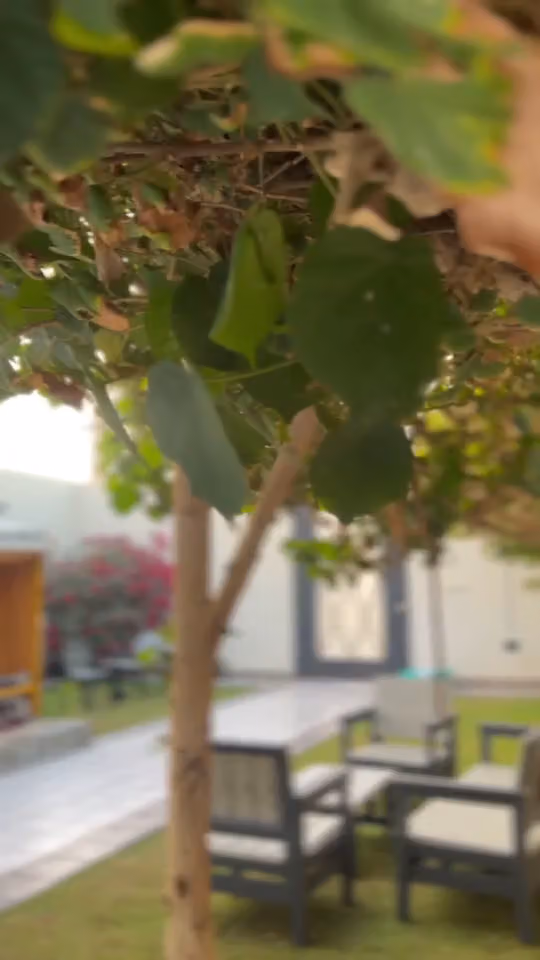 شاليهات آرت الفندقية