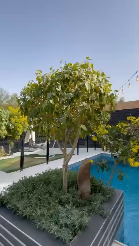 شاليهات اورا
