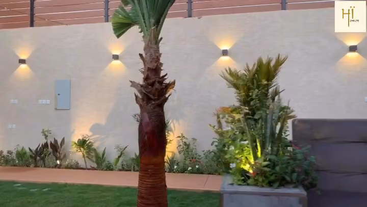 شاليهات هاي