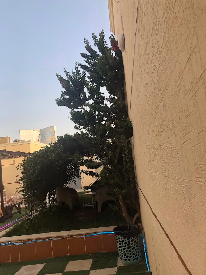 شاليهات لوريال