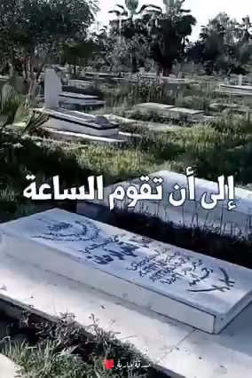 Shams Pharmacy | صيدلية شمس
