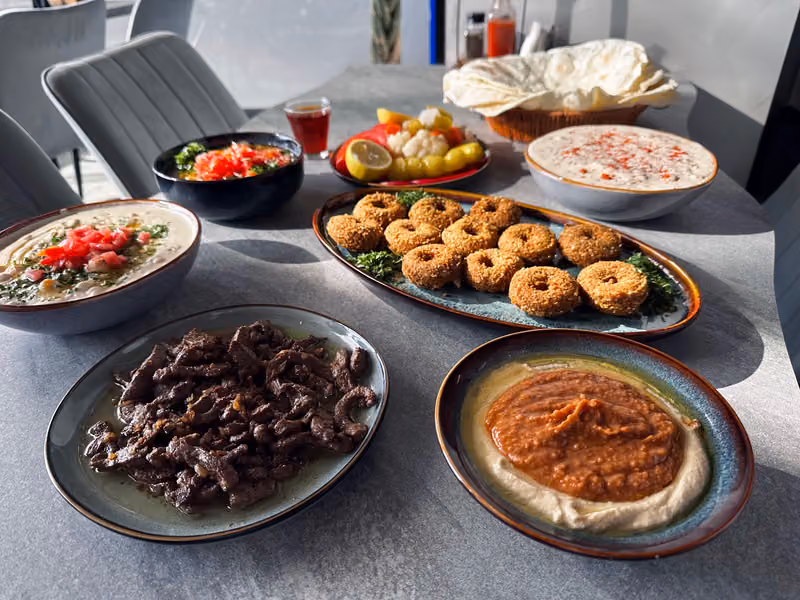 شاميا