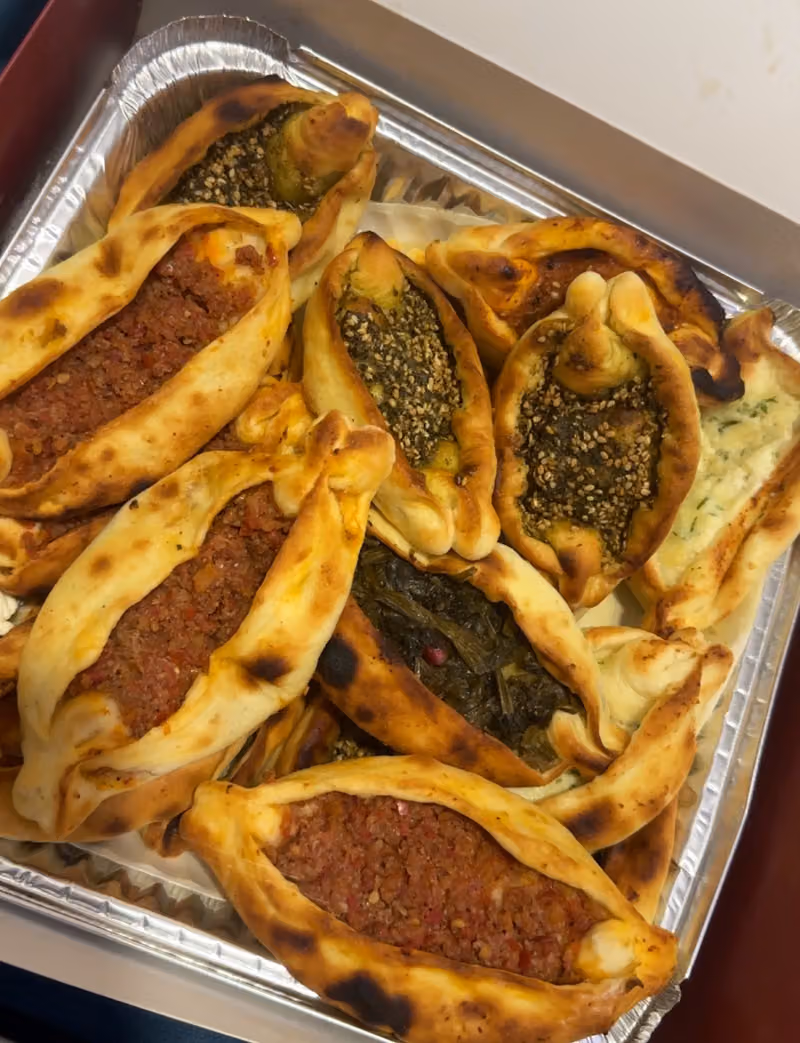 شاميا
