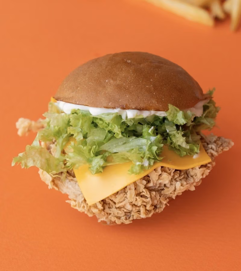 شكن | CHKN