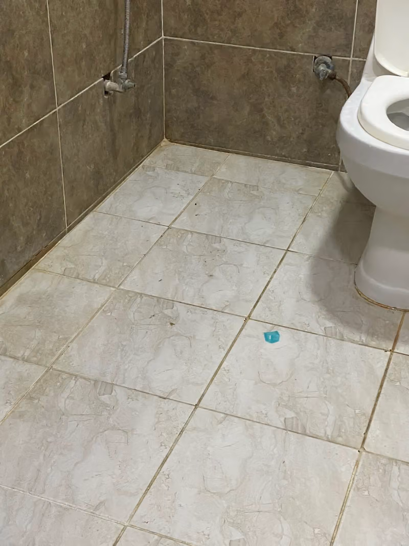 شقق للإيجار