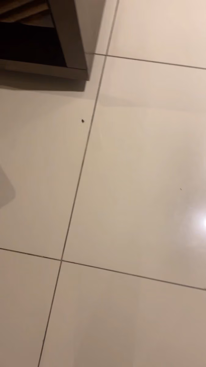 شقق نيروز ان للشقق المخدومة - Newroz N Serviced Apartments