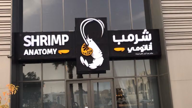 شرمب اناتومي‎