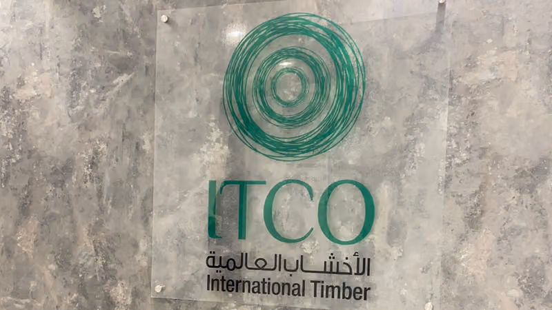 شركة الأخشاب العالمية