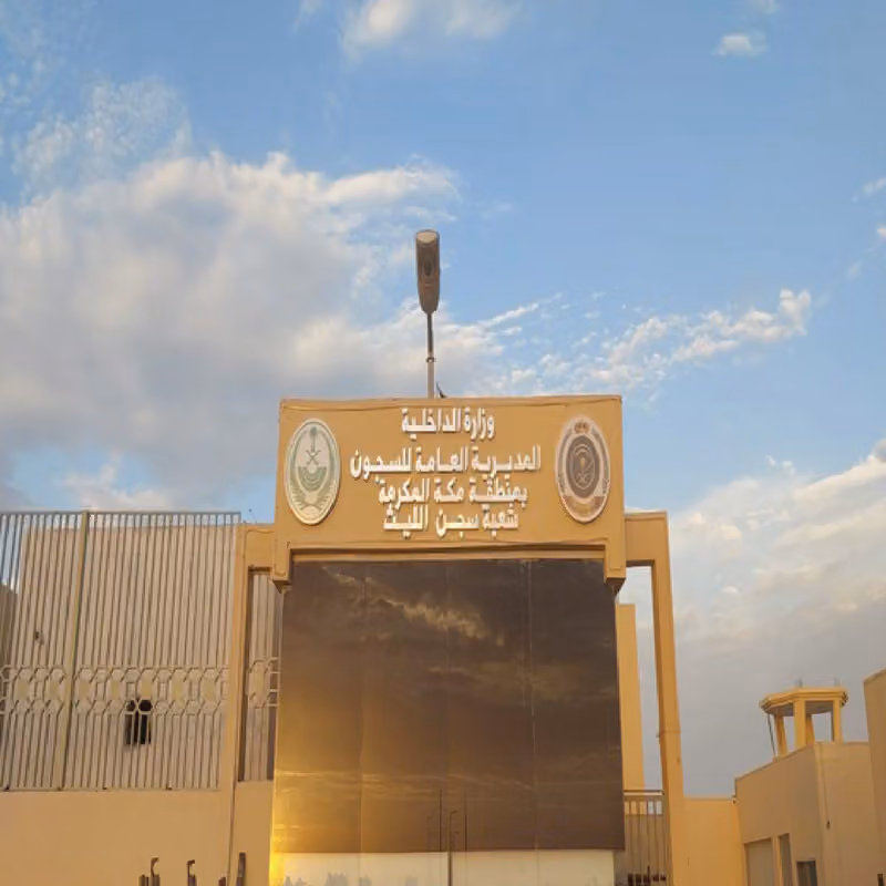 شركة البدائل المتعددة المحدودة