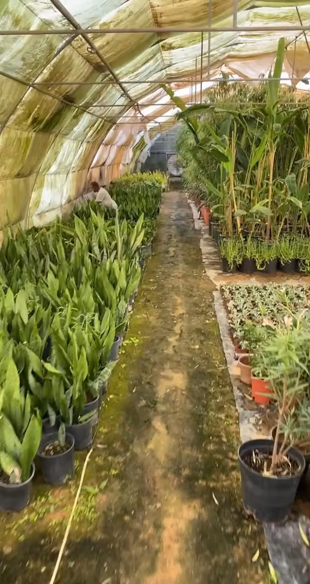 شركه الحديقه الجميله
