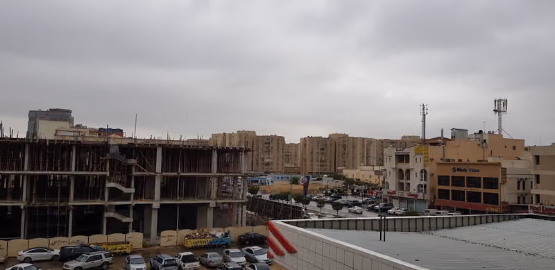 شركة الحماية الذكية