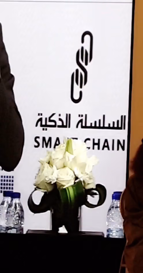 شركة السلسلة الذكية المحدودة